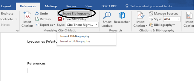Insert Blibliography Mendeley di Word