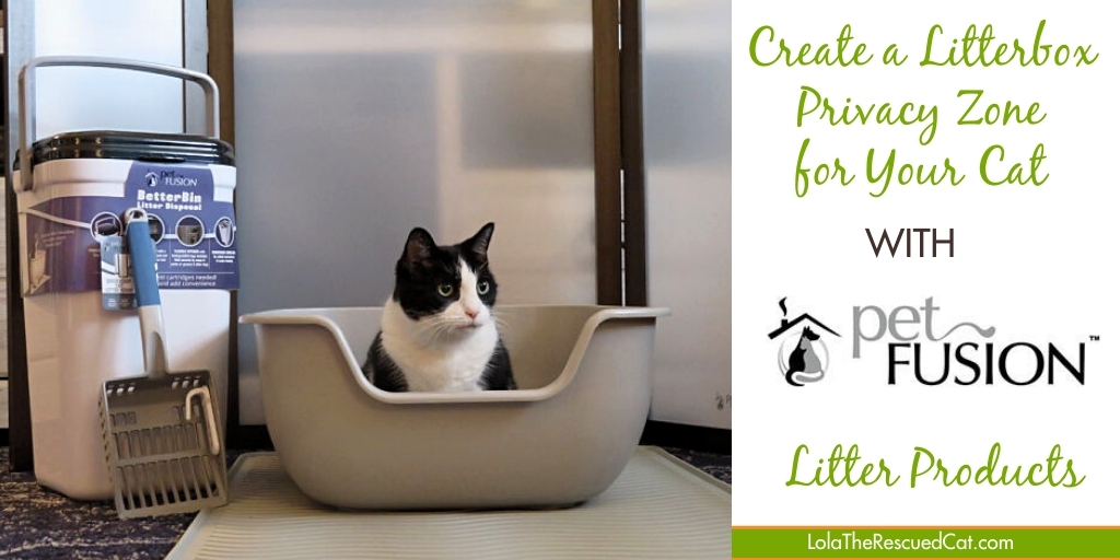Create a Litter Box Privacy Zone with PetFusion Lola The Rescued Cat