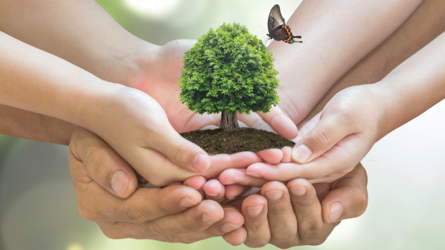 World Environment Day 2021