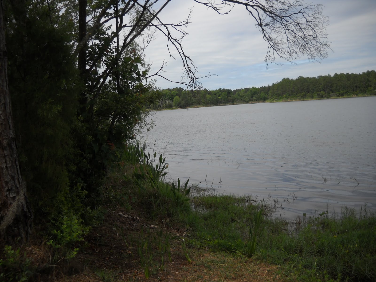 On the Road with Lou and Kathy Naval Weapons Station Goose Creek