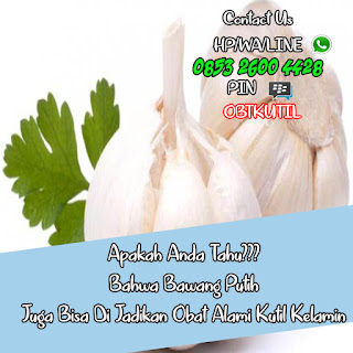 Obat Krim Kutil Kelamin Tradisional