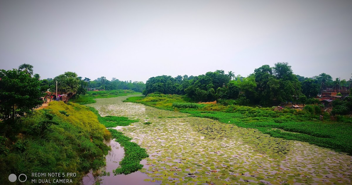 Beautiful Wallpapers,wallpapers free download,MyNatural Photographic