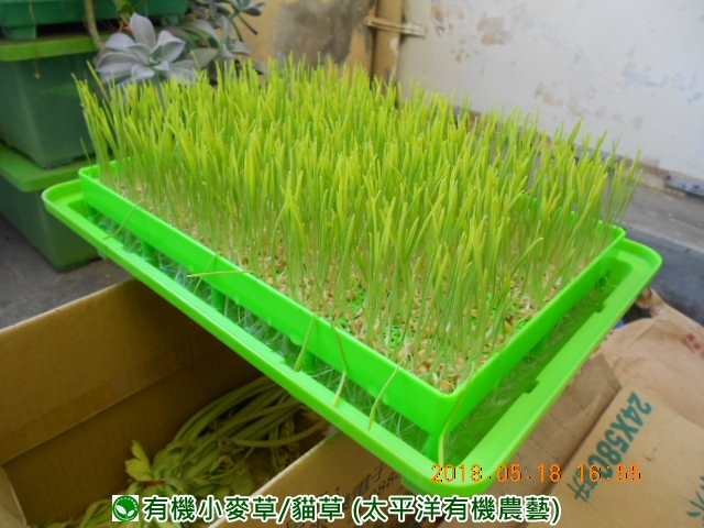 �p��,�߯�ش�,�߯�شӤ�k,�߯�,�߯�O����,�߯�diy,�߯�p����,�߯����,�^�K���@�k,�ؿ߯�