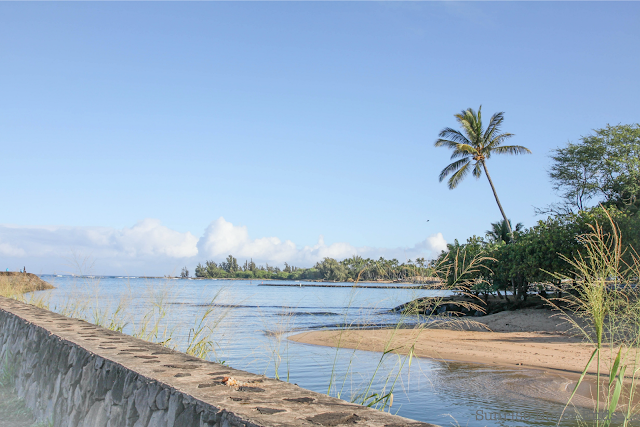 haleiwa,oahu,hawaii,north shore,city guide,visite privée,beach life