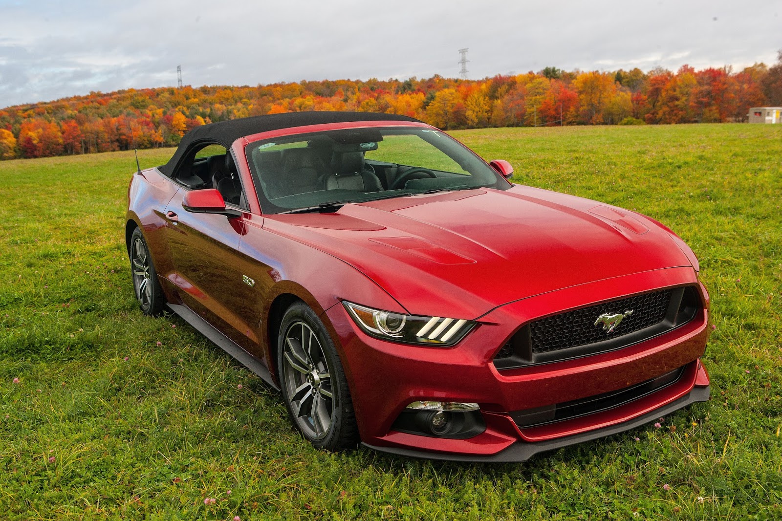 The Auto Advisor Group 16 Ford Gt Mustang 5 0 Convertible