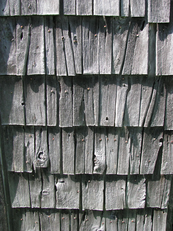 Shim Farm September in Photos