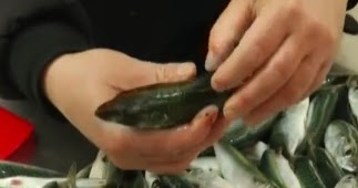 baligin siyah eti konservesi kullananlar