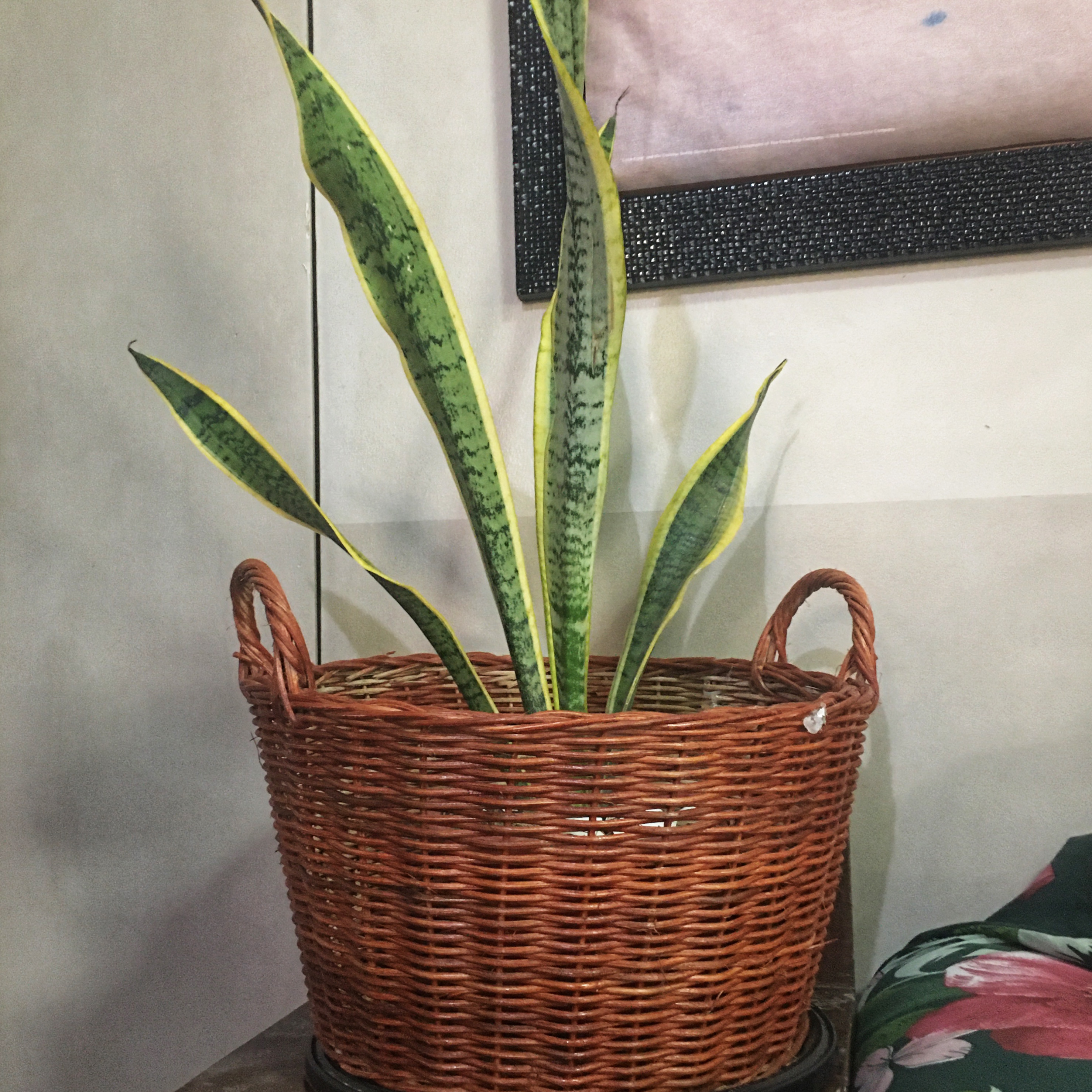 Adding Style and Practicality to Your Home with Wicker Baskets The 24