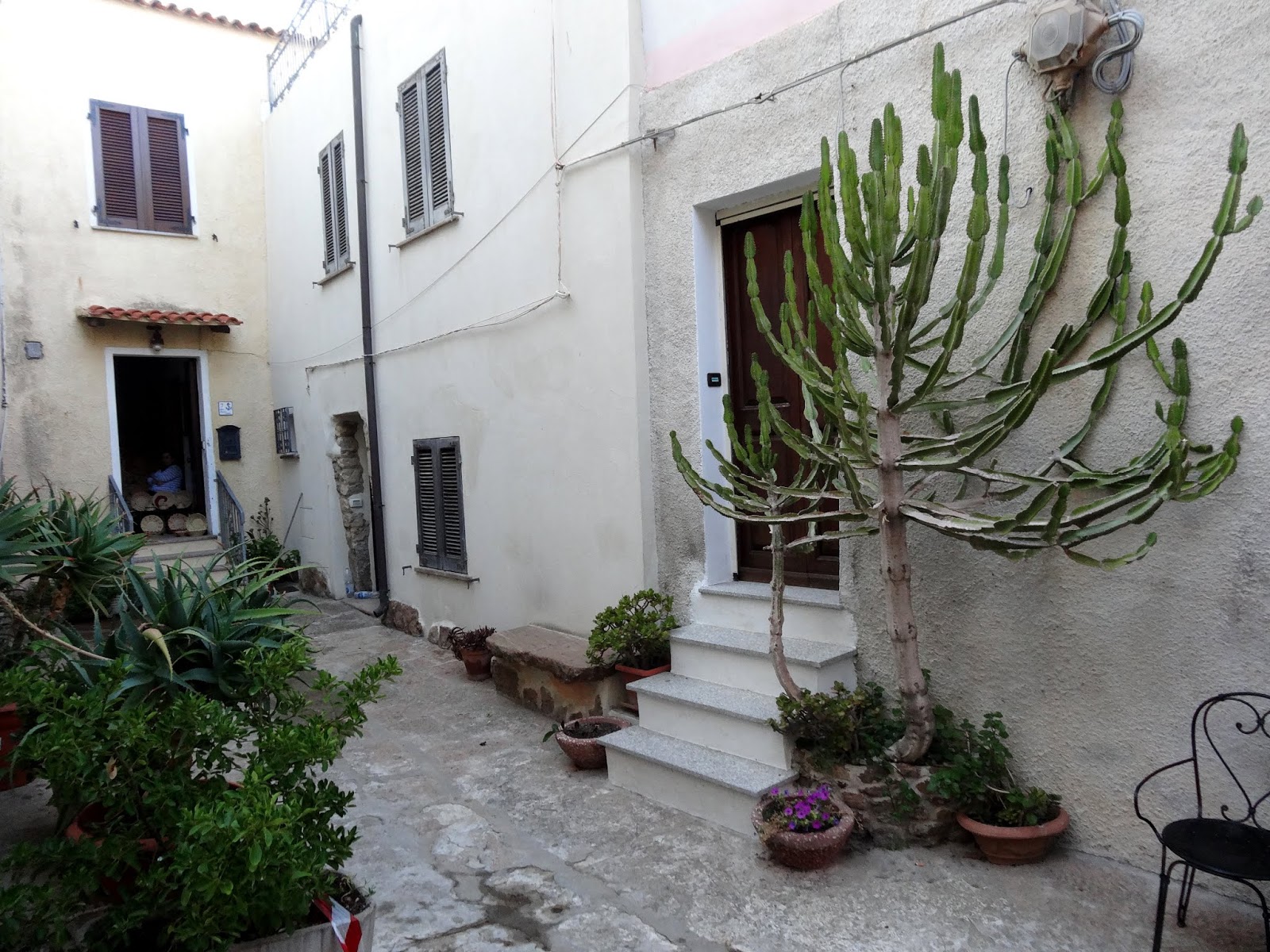 Kirschenzeit Sardinien