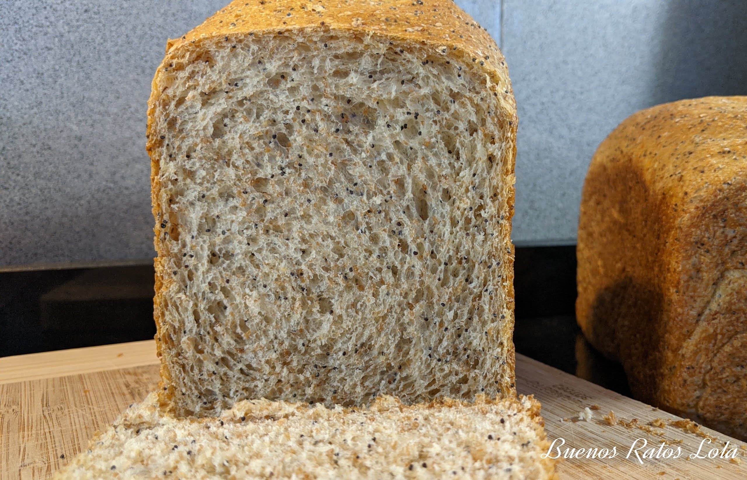 Pan de moldebrioche semiintegral con semillas de amapola en