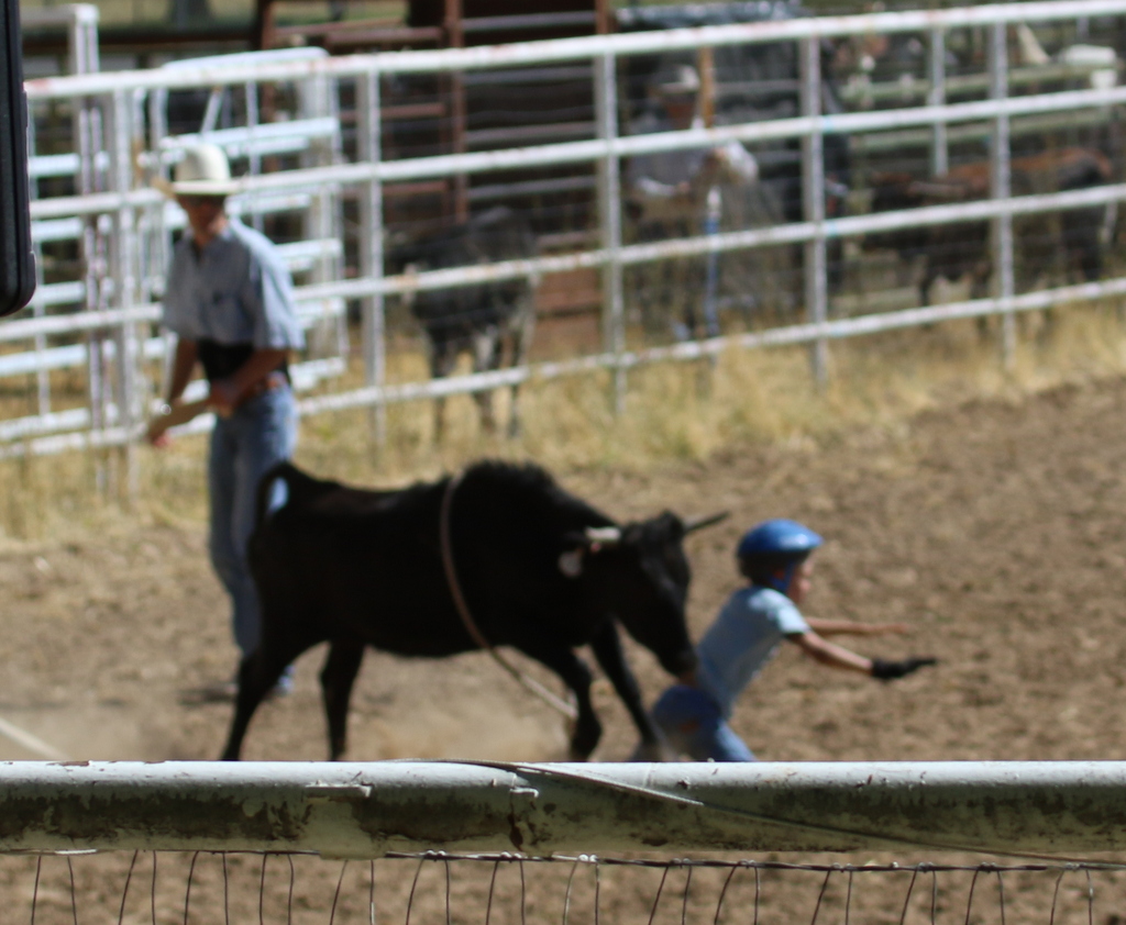 Desert Survivor Labor Day Kids Rodeo at Leamardo Days, Leamington, Utah