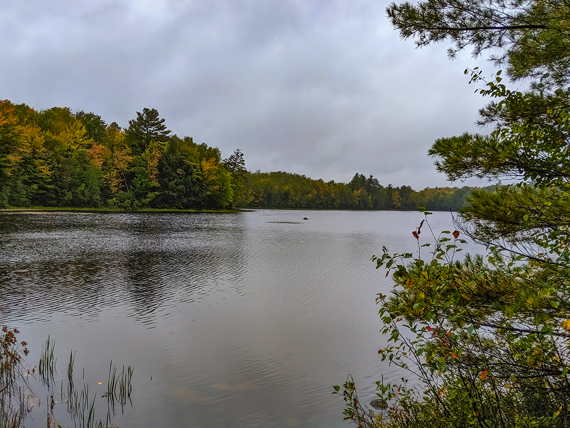 Hiking Otter Lake County Park