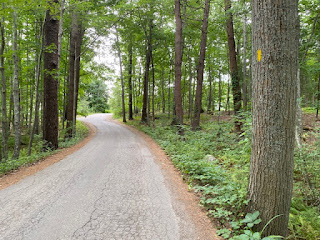Little Harbor Loop trail on road