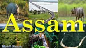 top-colleges-in Assam