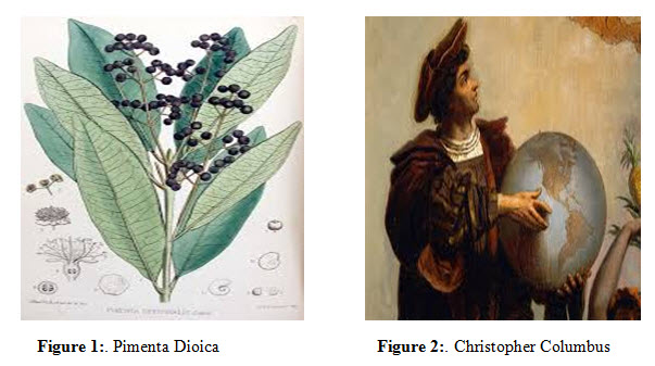 Figure 1 Pimenta Dioica Figure 2 Christopher Columbus