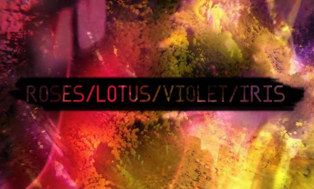 Lirik Lagu Hayley Williams Roses/Lotus/Violet/Iris