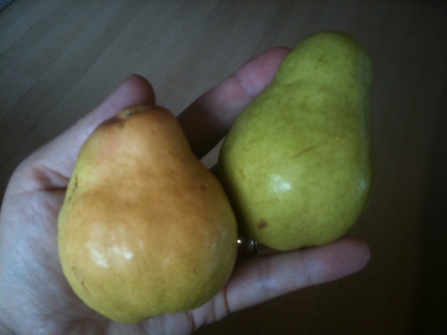 Pears and Apples - Eva Varga