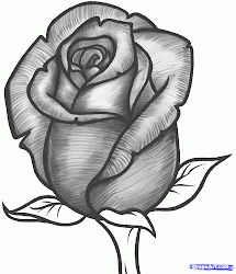 rose draw bud step simple
