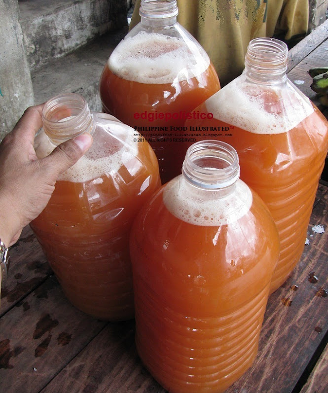 Philippine Food Illustrated tuba (red coconut wine)