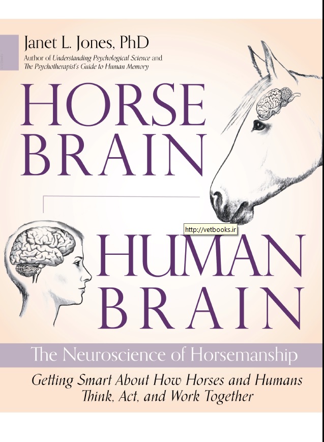 Horse Brain Human Brain