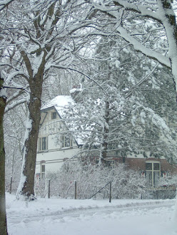 Huis schoonouders in de sneeuw