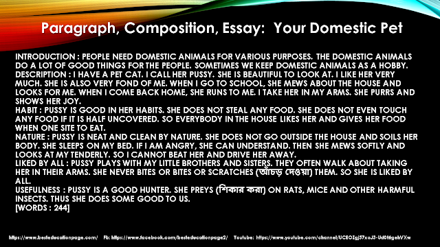 Paragraph, Composition, Essay:  Your Domestic Pet #besteducationpage