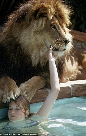hollywood actress living lion