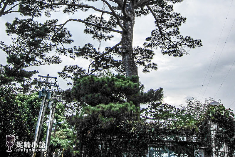 【花蓮市景點】松園別館。穿梭在百年松林的藝術人文之旅 【花蓮市景點】松園別館。穿梭在百年松林的藝術人文之旅