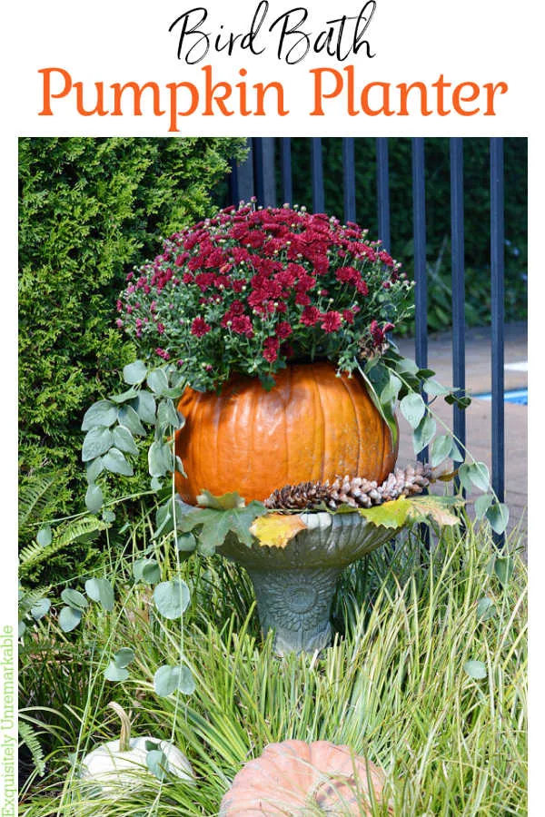 Bird Bath Pumpkin Planter For Pinterest