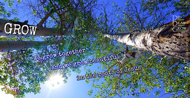 Looking up into aspen tree tops reaching to the sky, full of leaves; text in picture reads Grow: We grow together and we grow beautiful in the roots of Jesus