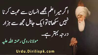 Rumi Quotes in Urdu