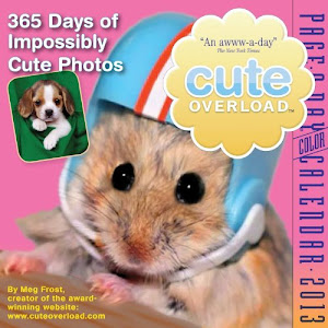 Cute Overload Calendar 2013