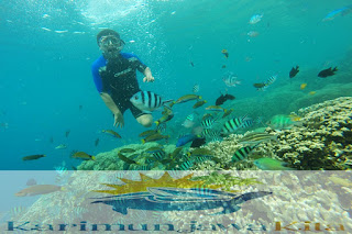 terumbu karang di menjangan kecil karimunjawa