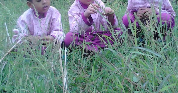 Rpp Agribisnis Tanaman Pangan Dan Hortikultura Revisi Sekolah