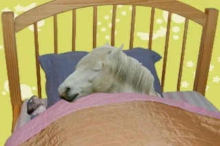 Horses sleep too, but not on a bed, standing up. Sesame Street Elmo's World Sleep Quiz