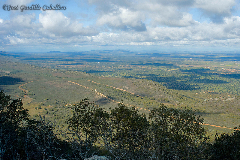 José Gordillo Caballero IMAGENES de NATURALEZA EXTREMEÑA El Torrico de