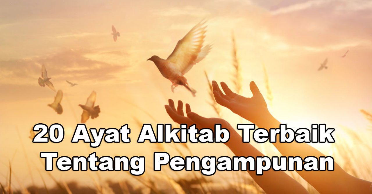 20 Ayat Alkitab Terbaik tentang Pengampunan