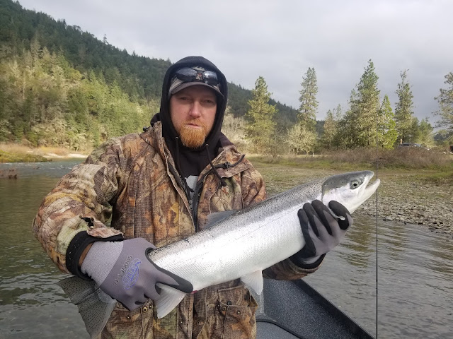 Rogue River, Umpqua River, Chetco River, Coquille River, Pacific, Oregon, Oregon Coast, Salmon Fishing, Gold Beach OR, Phil Tripp, Rogue River Sport Fishing, Roseburg OR, Fly fishing, travel oregon, Guide service, SW Oregon, Fishing charter, drift boat, Elk River, Sixes River, Steelhead, Springers, Chinook Salmon, King Salmon, Willie Boats, Medford OR, Rogue Bay, Coos Bay, Shady Cove OR, Back-bouncing, trolling, side-drifting, Oregon Vacation, Charter, Maxima, Mercury, G-loomis, Shimano, Simms, Sawyer,