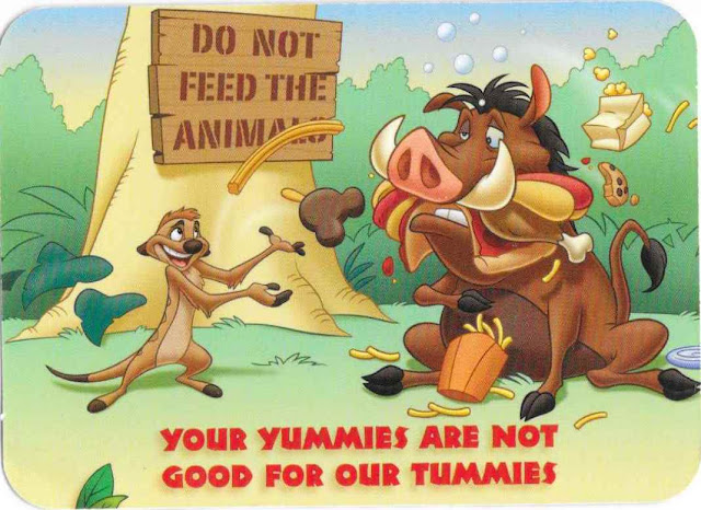 Do Not Feed the Animals Wild About Safety Cards Disney World