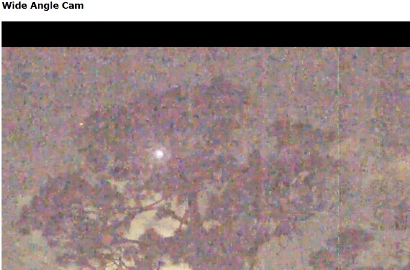 Eagles and Nature with chris7: Nest Cam Round-up: Berry College