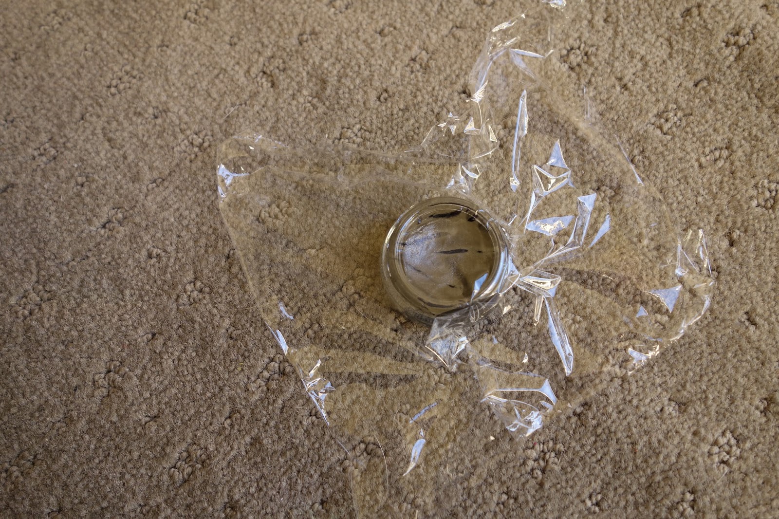 Butterflyiing Tips Dried out MAC Paint Pot