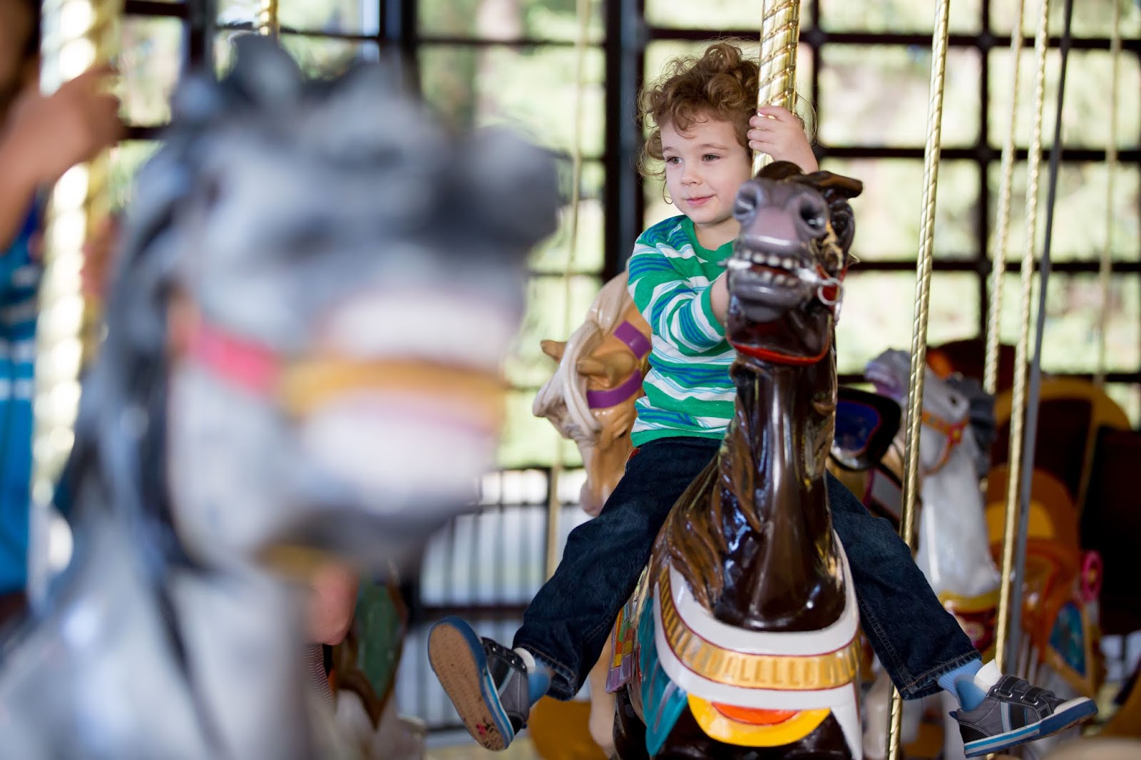 Woodland Park Zoo’s historic carousel is 100 years old!