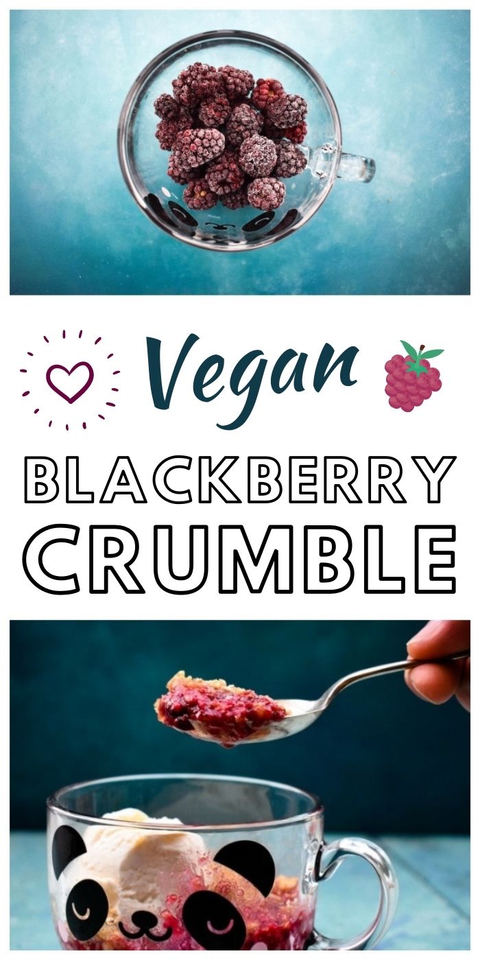 Microwave Blackberry Crumble (vegan mug cake)