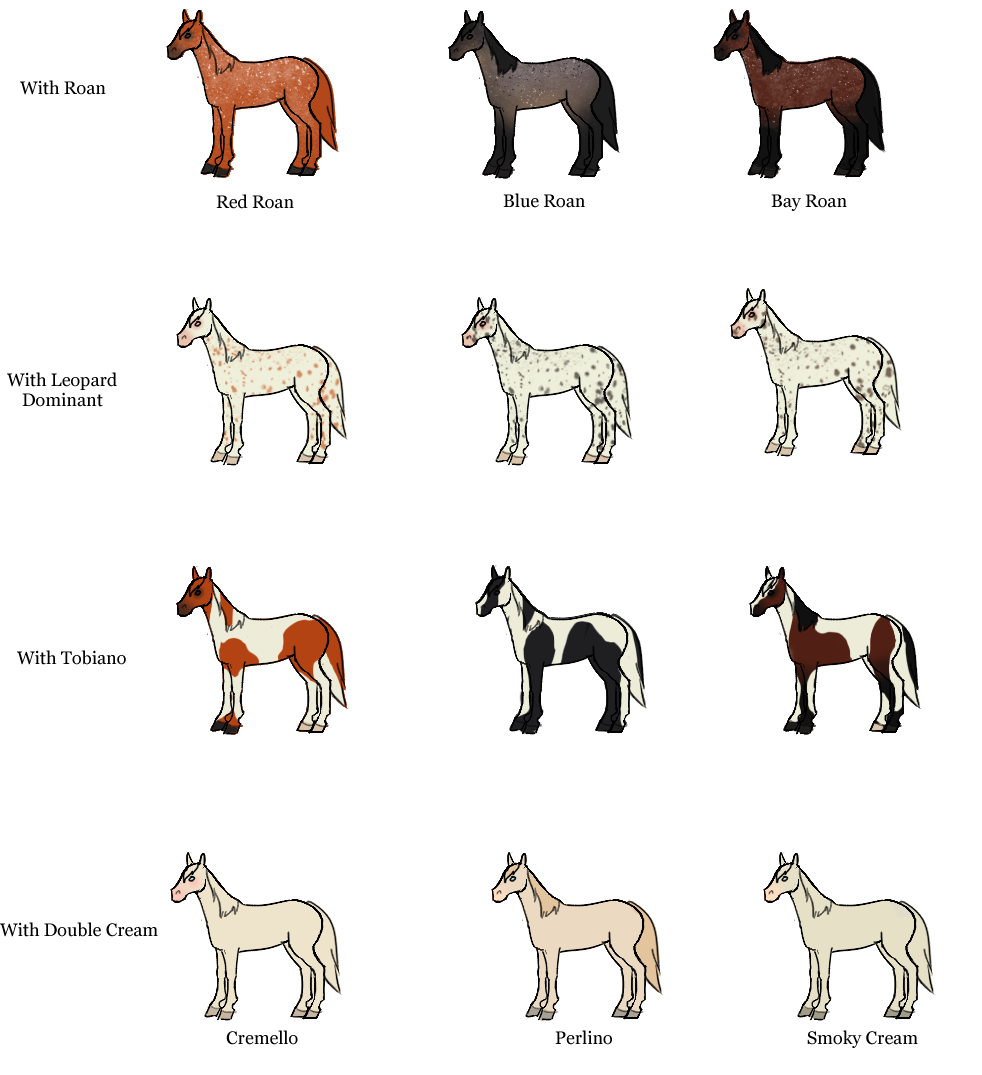 The Jorvik Report: Horse color chart