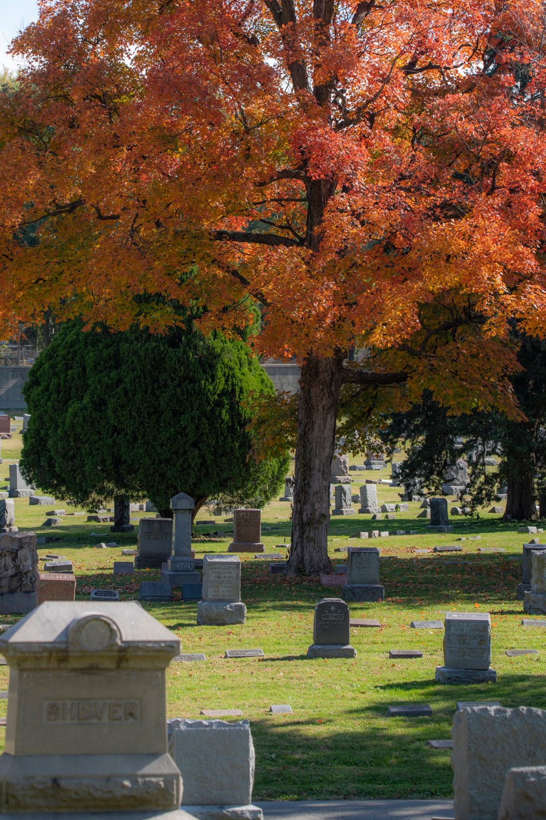 Hyperblogal Elmwood Cemetery