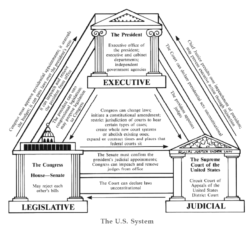 Comparing Parliamentary and Presidential forms of government PT's IAS Academy