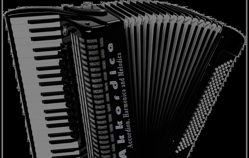 Virtual Accordions VST. Digital Software Synthesizers. VST for Windows, Audio Unit + VST for macOS.