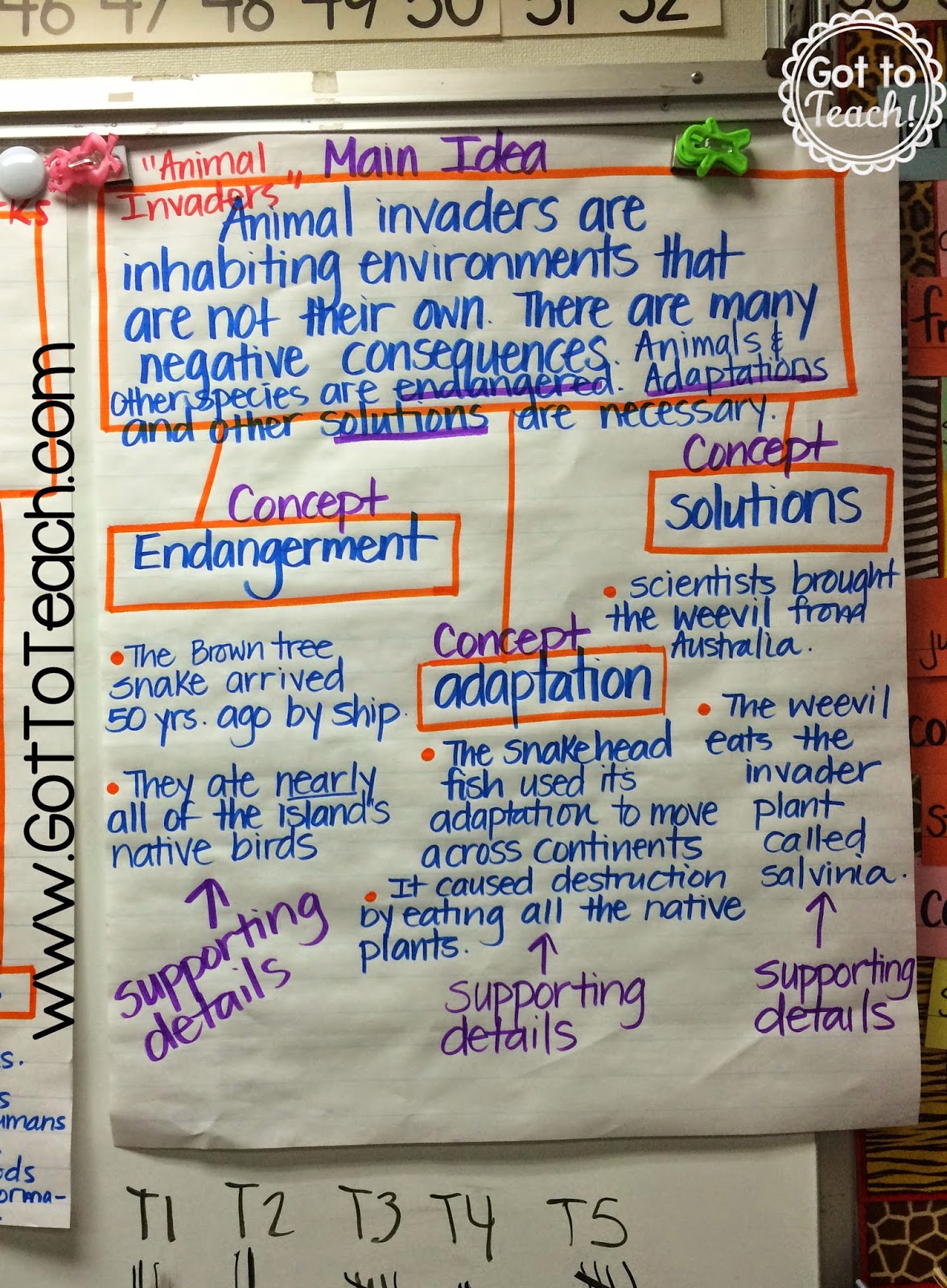 Classroom Anchor Charts • Teacher Thrive Classroom Anchor Charts