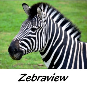 Zebraview