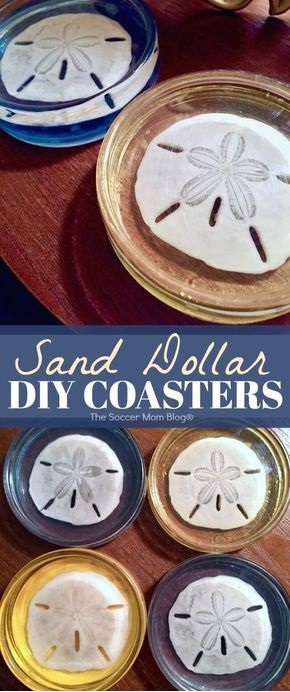 DIY Sand Dollar Resin Coasters DIY Sand Dollar Resin Coasters